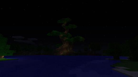my tree